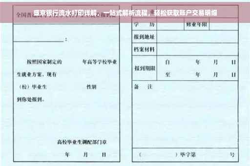 盛京银行流水打印详解，一站式解析流程，轻松获取账户交易明细
