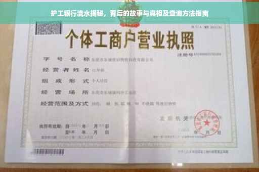 护工银行流水揭秘，背后的故事与真相及查询方法指南