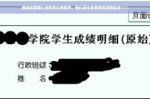 揭秘全国银行业务背后的故事，银行流水全国接单真相探秘 ?⚡️