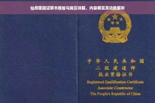 仙岳医院证明书模板与病历详解，内容概览及功能解析