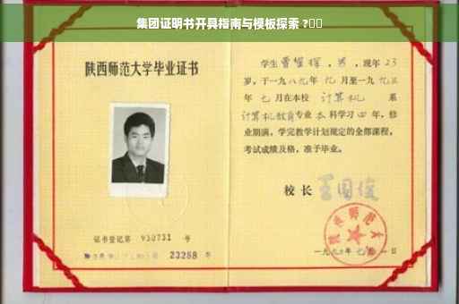 集团证明书开具指南与模板探索 ?⚡️