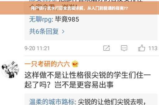 用户银行流水打印全流程详解，从入门到精通的指南??
