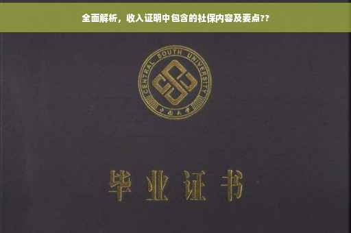 全面解析，收入证明中包含的社保内容及要点??