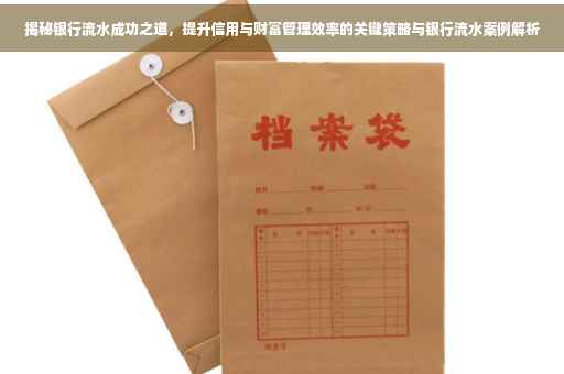 揭秘银行流水成功之道，提升信用与财富管理效率的关键策略与银行流水案例解析