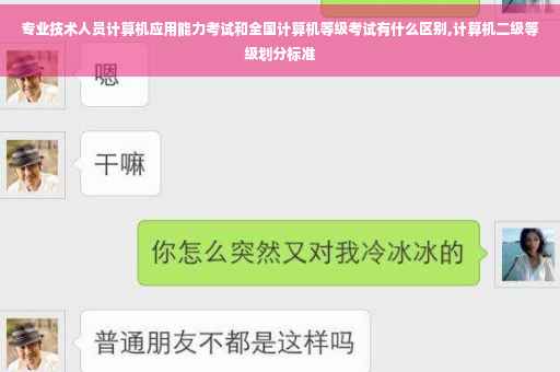 专业技术人员计算机应用能力考试和全国计算机等级考试有什么区别,计算机二级等级划分标准