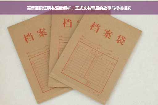 高管离职证明书深度解析，正式文书背后的故事与模板探究