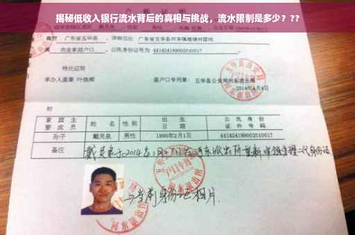 揭秘低收入银行流水背后的真相与挑战，流水限制是多少？??