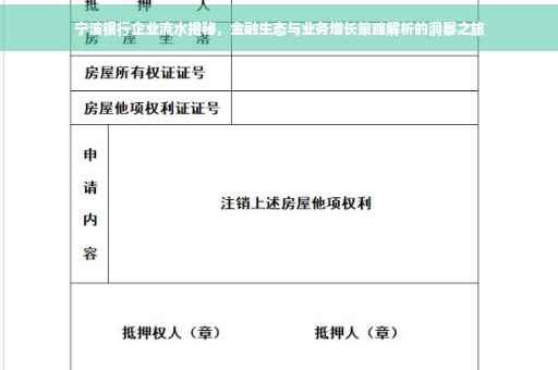 宁波银行企业流水揭秘，金融生态与业务增长策略解析的洞察之旅