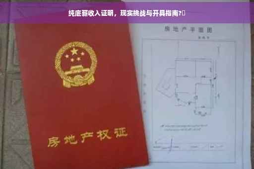 纯底薪收入证明，现实挑战与开具指南?✨