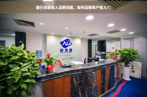 银行现金收入证明详解，如何证明账户收入?✨