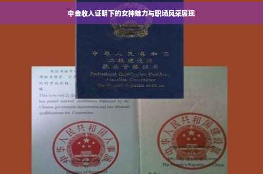 中金收入证明下的女神魅力与职场风采展现
