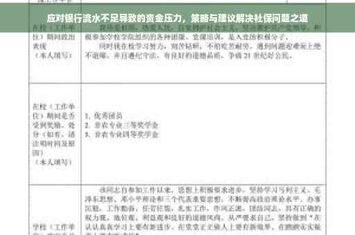 应对银行流水不足导致的资金压力，策略与建议解决社保问题之道