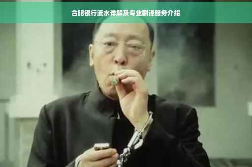 合肥银行流水详解及专业翻译服务介绍