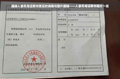揭秘人参无毒证明书背后的真相与图片揭秘——人参无毒证明书图片一览