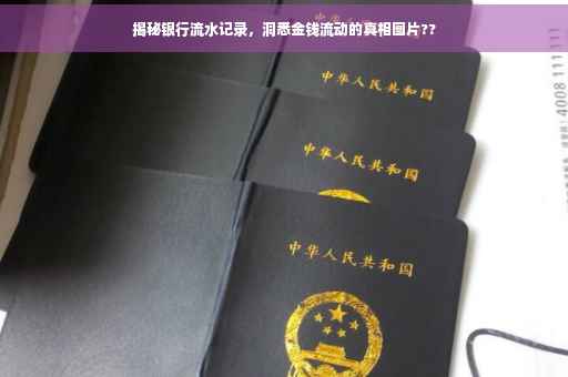 揭秘银行流水记录，洞悉金钱流动的真相图片??