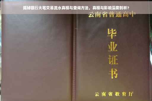 揭秘银行大笔交易流水真相与查询方法，真相与影响深度剖析?