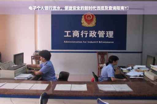 电子个人银行流水，便捷安全的新时代选择及查询指南?✨