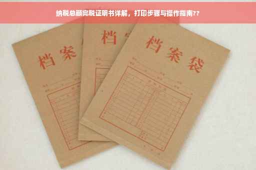 纳税总额完税证明书详解，打印步骤与操作指南??