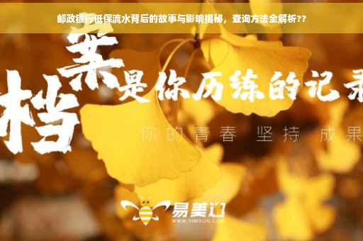 邮政银行低保流水背后的故事与影响揭秘，查询方法全解析??