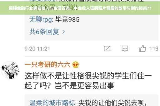 揭秘金融行业真实收入与生活百态，中金收入证明照片背后的故事与制作指南??