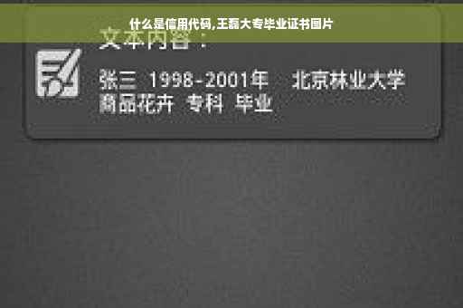 什么是信用代码,王磊大专毕业证书图片