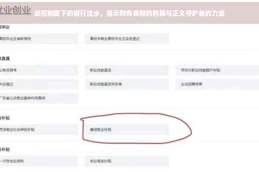 巡视制度下的银行流水，揭示财务真相的利器与正义守护者的力量