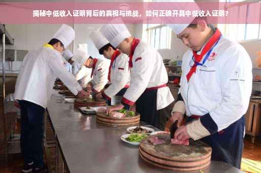 揭秘中低收入证明背后的真相与挑战，如何正确开具中低收入证明？