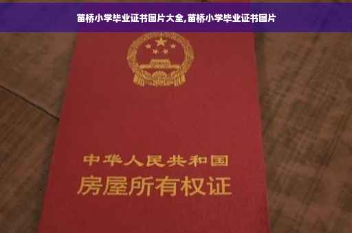 苗桥小学毕业证书图片大全,苗桥小学毕业证书图片