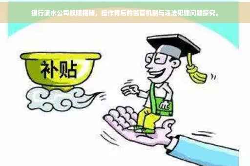 银行流水公司权限揭秘，操作背后的监管机制与违法犯罪问题探究。