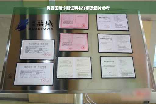 兵团医院诊断证明书详解及图片参考
