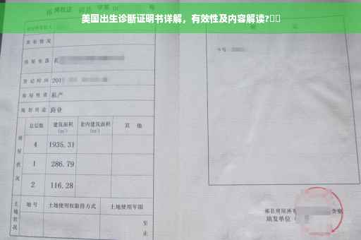 美国出生诊断证明书详解，有效性及内容解读?⚡️