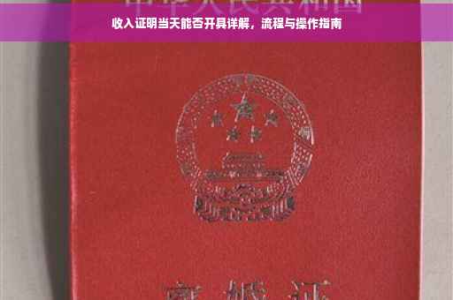 收入证明当天能否开具详解，流程与操作指南