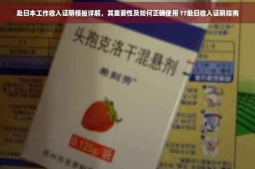 赴日本工作收入证明模板详解，其重要性及如何正确使用 ??赴日收入证明指南