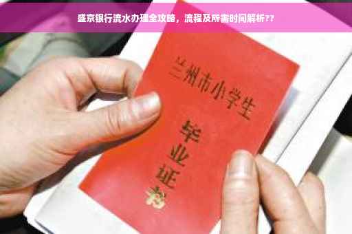 盛京银行流水办理全攻略，流程及所需时间解析??