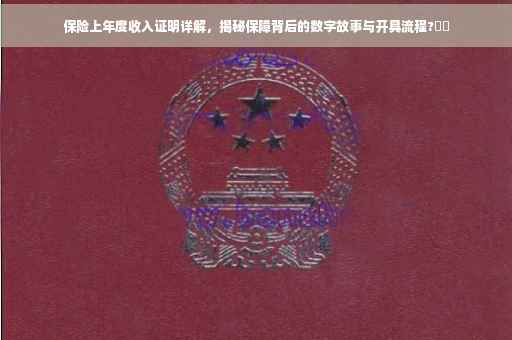 保险上年度收入证明详解，揭秘保障背后的数字故事与开具流程?⚡️