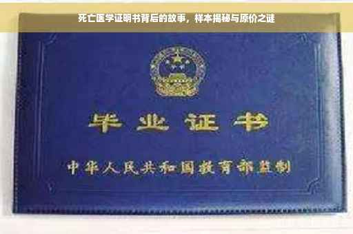 死亡医学证明书背后的故事，样本揭秘与原价之谜