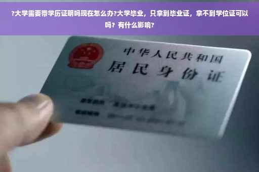 ?大学需要带学历证明吗现在怎么办?大学毕业，只拿到毕业证，拿不到学位证可以吗？有什么影响?