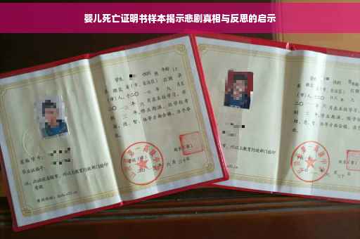 婴儿死亡证明书样本揭示悲剧真相与反思的启示