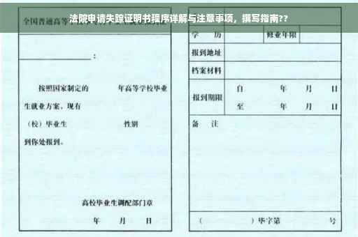 法院申请失踪证明书程序详解与注意事项，撰写指南??