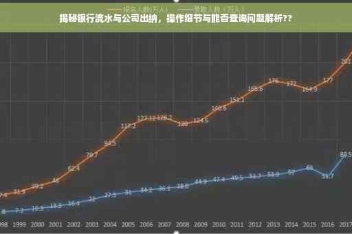 揭秘银行流水与公司出纳，操作细节与能否查询问题解析??