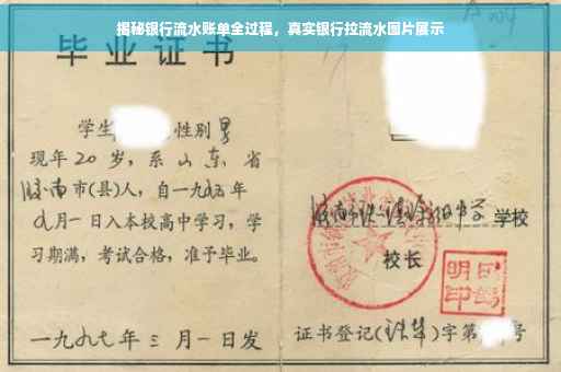 揭秘银行流水账单全过程，真实银行拉流水图片展示