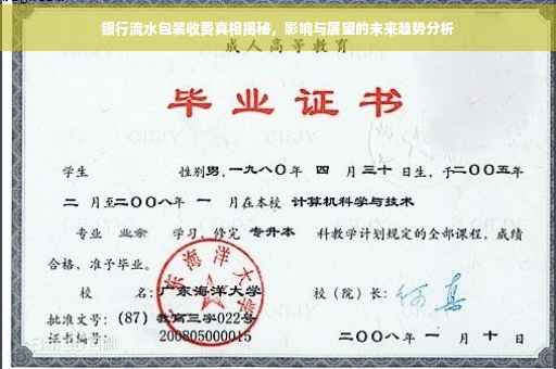 银行流水包装收费真相揭秘，影响与展望的未来趋势分析