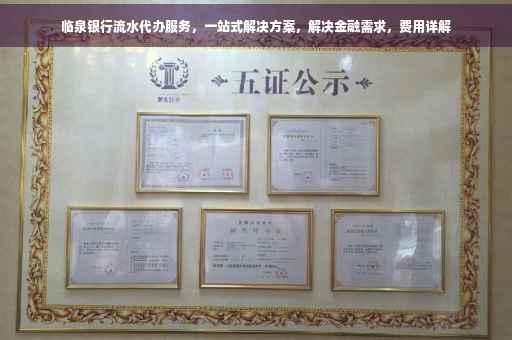 临泉银行流水代办服务，一站式解决方案，解决金融需求，费用详解