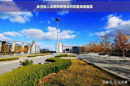 虚开收入证明购房背后的犯罪真相揭露