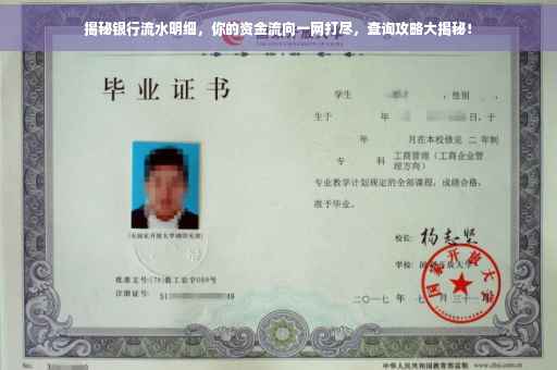 揭秘银行流水明细，你的资金流向一网打尽，查询攻略大揭秘！