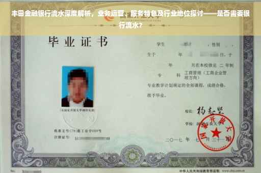 丰田金融银行流水深度解析，业务运营、服务特色及行业地位探讨——是否需要银行流水？
