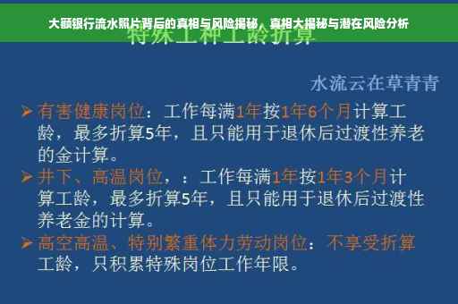 大额银行流水照片背后的真相与风险揭秘，真相大揭秘与潜在风险分析