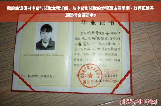 赔偿金证明书申请与领取全程详解，从申请到领取的步骤及注意事项 - 如何正确开具赔偿金证明书？