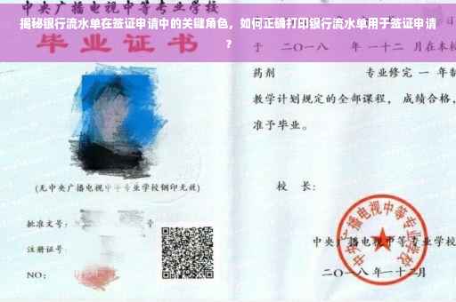 揭秘银行流水单在签证申请中的关键角色，如何正确打印银行流水单用于签证申请？