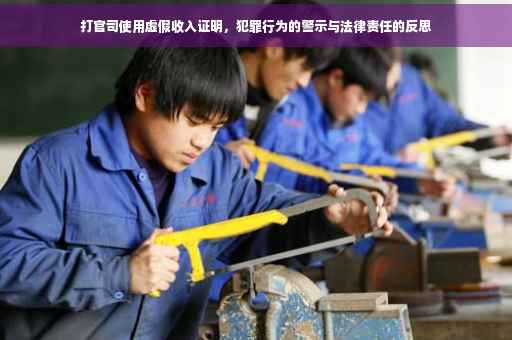 打官司使用虚假收入证明，犯罪行为的警示与法律责任的反思
